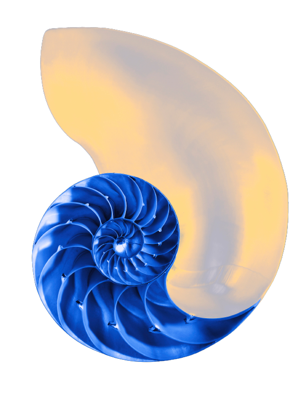 shell