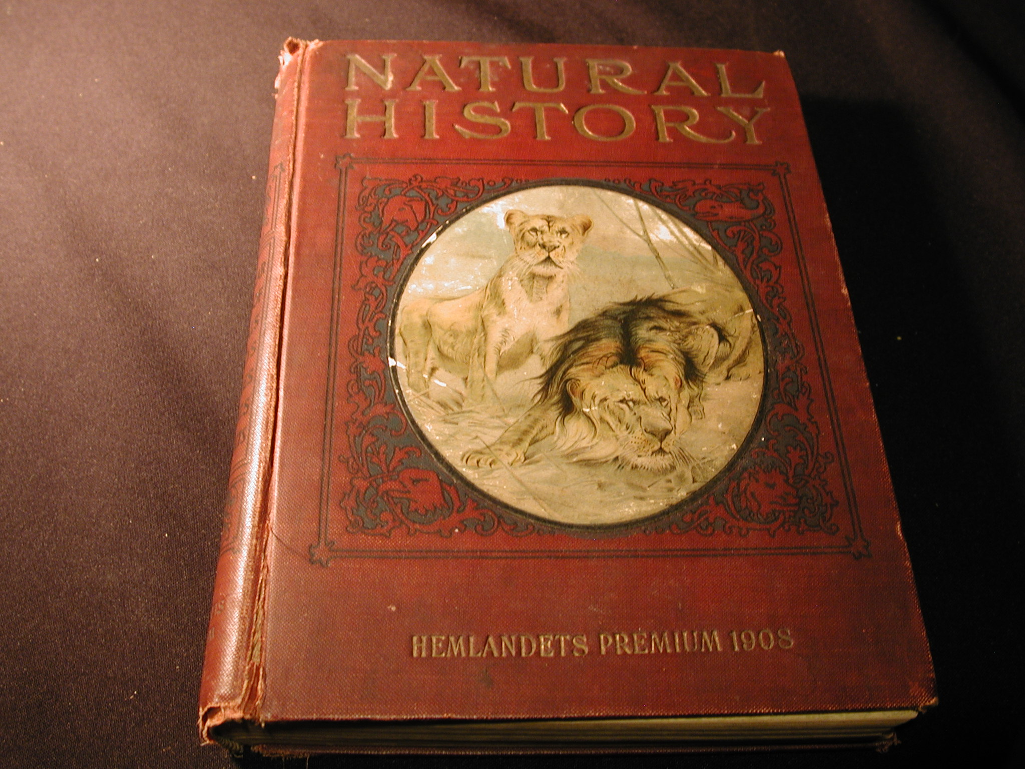 Natural History Hembandet Premium 1908 Isaac Thorne Johnson for kids