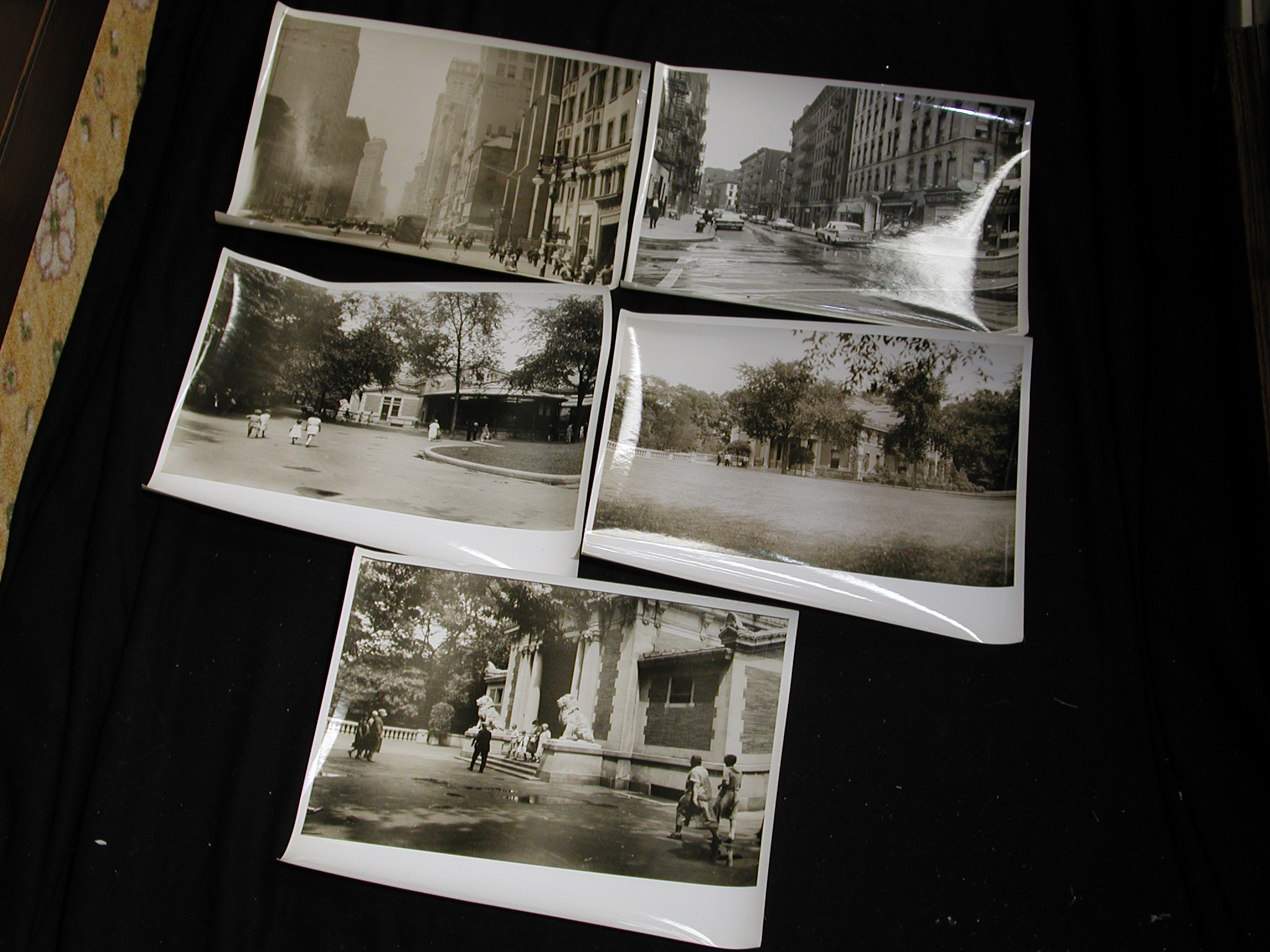New York City Old Photos set of 5 Central Park - Library
