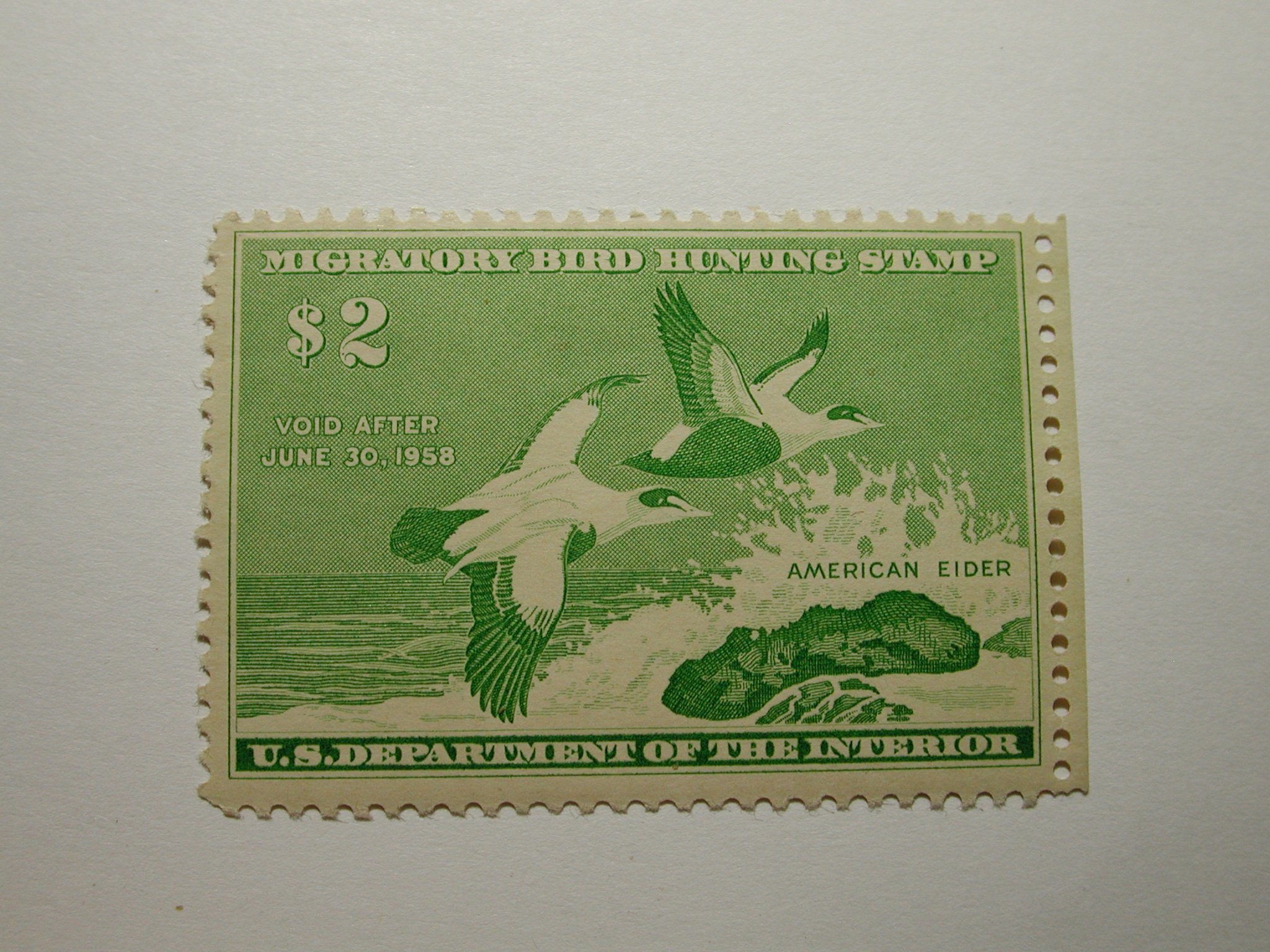 US Department of Interior Scott #RW24 $2 American Eider 1957, M/VLH -Migratory Bird Hunting Stamp