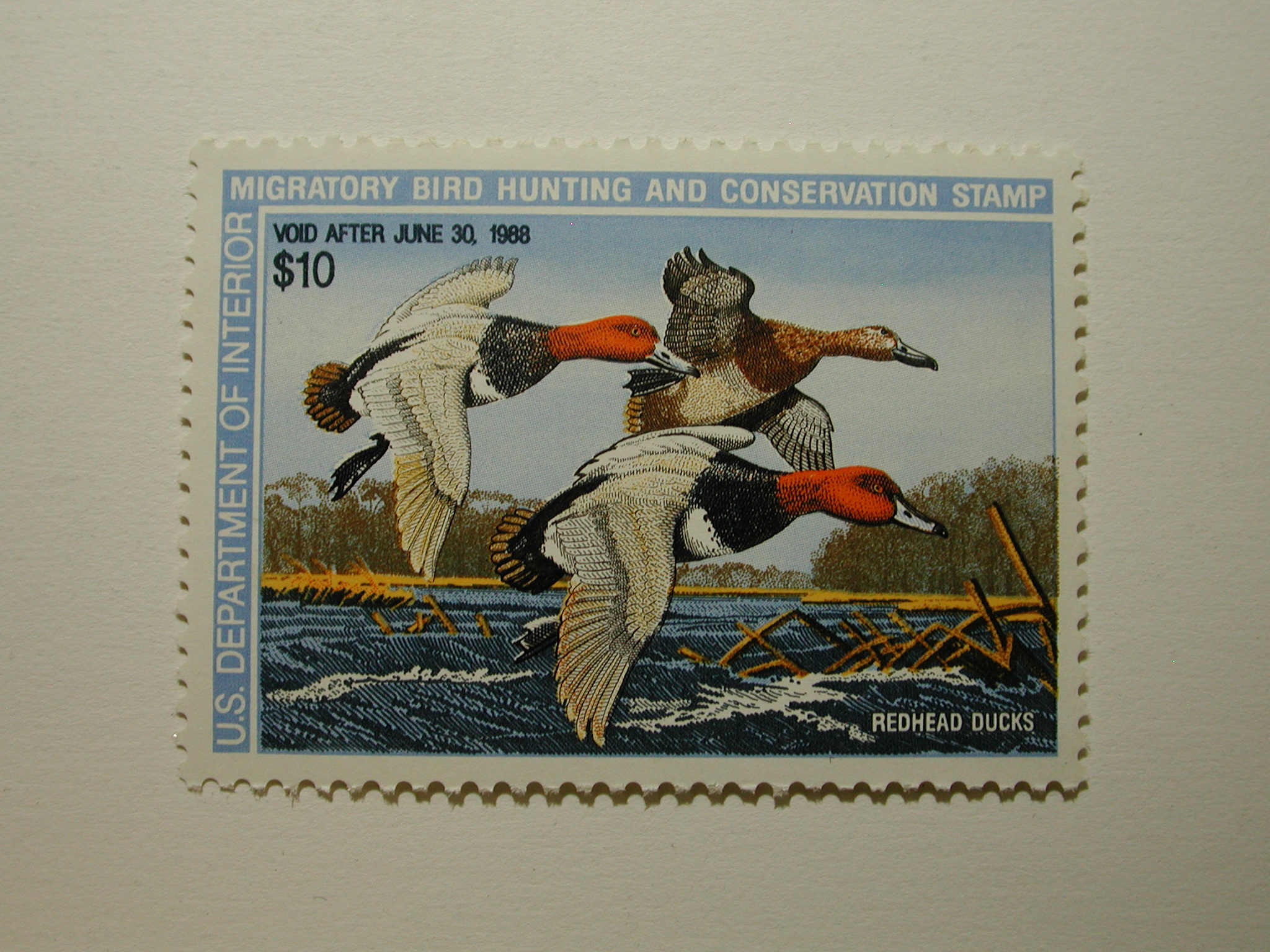 US Department of Interior Scott #RW54 $10 Redhead Ducks Stamp 1987, MNH