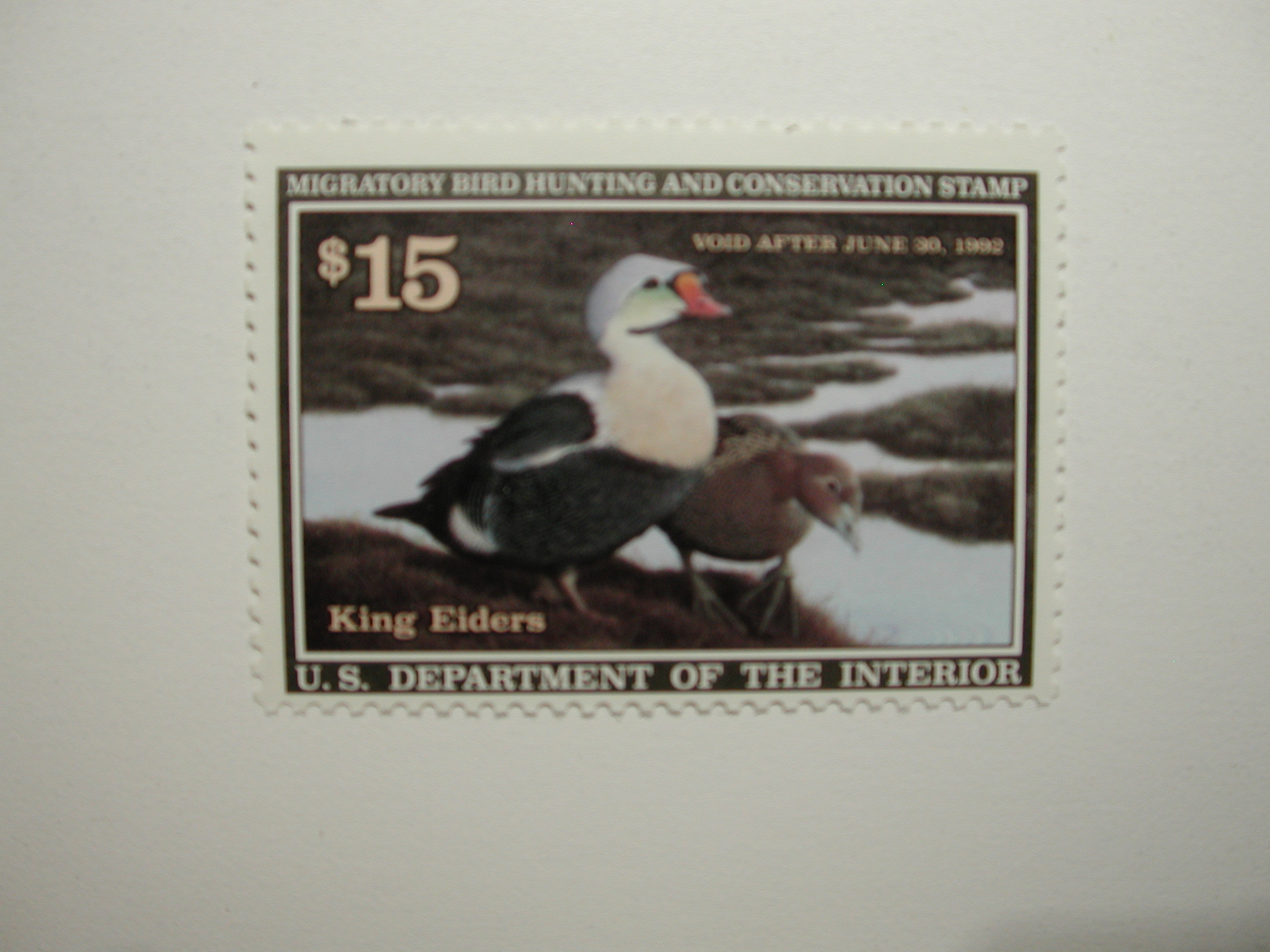 US Department of Interior Scott #RW58 $15 King Eiders Duck Stamp 1991, MNH