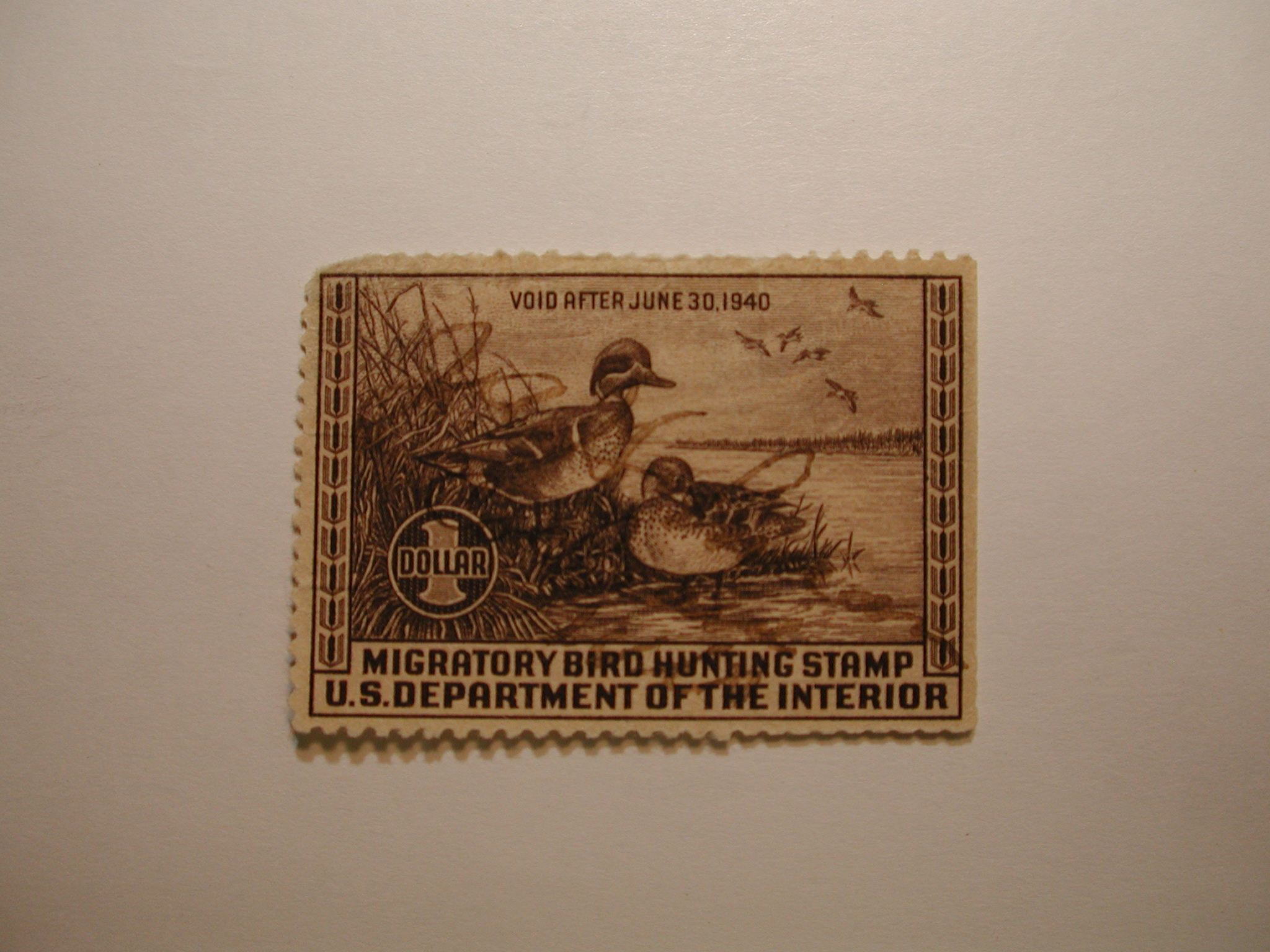 US Department of Interior Scott #RW6 $1 Green-winged Teal Ducks Stamp 1939, Used Missing Small Upper Left Corner