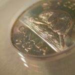 1962 5 Cent Canada (Scratched) ANACS Certified AU 55