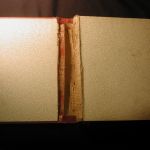 Natural History Hembandet Premium 1908 Isaac Thorne Johnson for kids