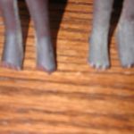 African Wood Statues Vintage Hand Carved Warriors