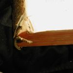 Domini du Fresne du Cange Tom I Latin Glossarium Vol A-B 10 x 15 hardcover 1688
