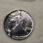 1987 U.S American Eagle 1 Ounce Fine .999 Silver Gem/Choice Color (Cant find Category)