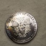 1987 U.S American Eagle 1 Ounce Fine .999 Silver Gem/Choice Color (Cant find Category)