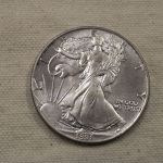 1991 U.S American Silver Eagle 1 Ounce .999 Silver