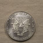 1991 U.S American Silver Eagle 1 Ounce .999 Gem Choice Unc