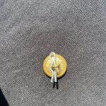 Waterbury Button Co. Buttons- Lion Crest on Lines-3 Small -4 Large Buttons Pattern #29193