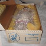 Lee Middleton Reva Schick Our Pride and Joy 00726 NIB 2002 (Copy)
