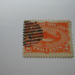 Newfoundland Early Selections: Scott #48 - 2cent Red Orange Cod Fish - used