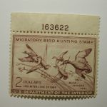 US Department of Interior Scott #RW20 $2 Blue-Winged Teal 1953, MNH/ gum skips on Tabe small thin on stamp - Plate Single #163622