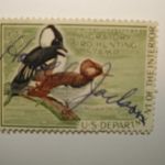 US Department of Interior Scott #RW35 $3 Hooded Mergansers Duck Stamp 1966, Used & Signed
