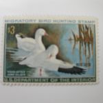 US Department of Interior Scott #RW37 $3 Ross' Geese Stamp 1970, MNH