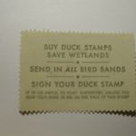 US Department of Interior Scott #RW48 $7.50 Ruddy Ducks 1981, MNH - Migratory Bird Hunting and Conservation Stamp