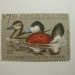 US Department of Interior Scott #RW48 $7.50 Ruddy Ducks 1981, MNH