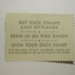 US Department of Interior Scott #RW48 $7.50 Ruddy Ducks 1981, MNH