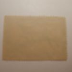 US Department of Interior Scott #RW5 $1 Pintail Drake & Hen Ducks Stamp 1938, Used & Signed