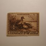 US Department of Interior Scott #RW6 $1 Green-winged Teal Ducks Stamp 1939, Used Missing Small Upper Left Corner