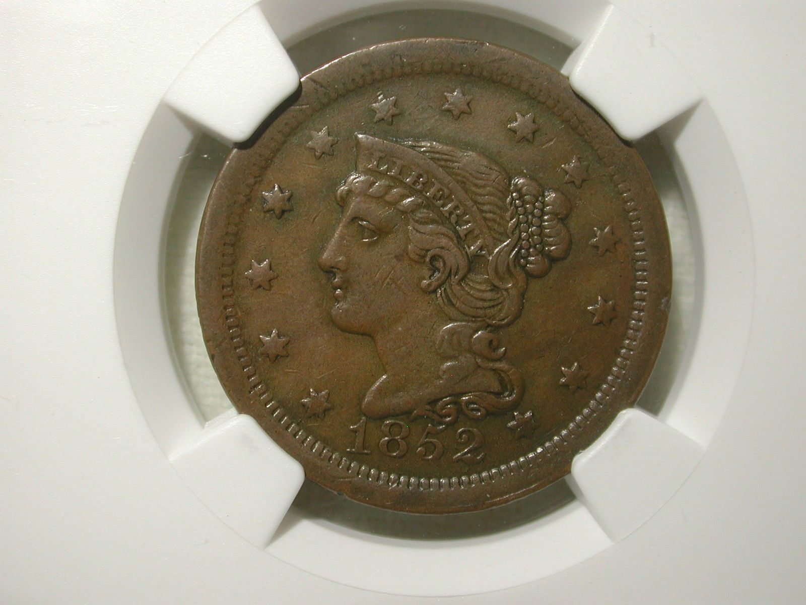 1852 Large Cent Penny NGC AU 50 BN Brown | Bellport Jewelers