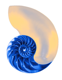 shell