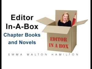 editor-in-a-box-for-chapter-books-and-novels.jpeg