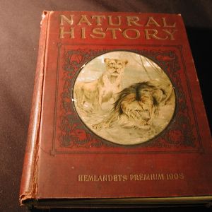 Natural History Hembandet Premium 1908 Isaac Thorne Johnson for kids