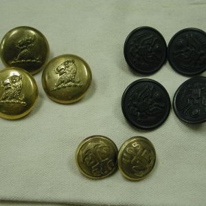 Lot of 9 Uniform Scovill Griffin lion, Leon Godchaux, Scovill Naval Buttons