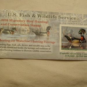 2019 No.RW86 Used Duck Stamp $25