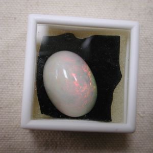 Blue Nile Opal 24.17 Ct 24x17 MM Oval Cabochon