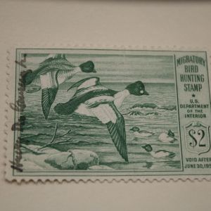 RW#16 Stamp $2 Migratory Bird