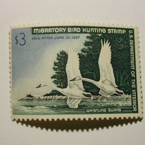 U.S. Duck Stamp #RW33 $3 Mint NH Very Good Color No Gum Skips