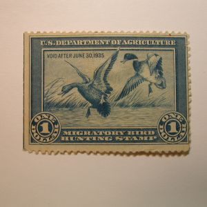 U.S. Stamp Scott #RW1 US Department of Agriculture $1 Migratory Bird Hunting Stamp Mint No Gum