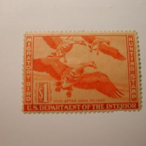 U.S. Stamp Scott #RW11 US Department of Agriculture $1 Migratory Bird Hunting Stamp No Gum Pulled Perfs Lower Rt