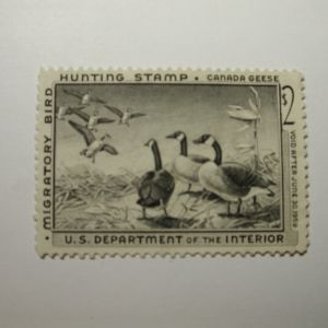 U.S. Stamp Scott #RW25 US Department of Agriculture $2 Migratory Bird Hunting Stamp - Canada Geese, No Gum