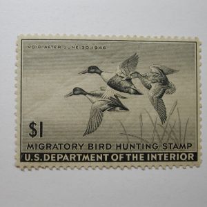 US Department of Interior Scott #RW12 $1 Shoveller Ducks Stamp 1945, MNH