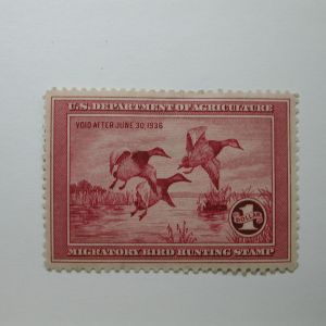 US Department of Interior Scott #RW2 $1 Canvasback Ducks Stamp 1935, MHH