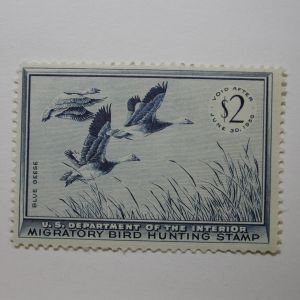 US Department of Interior Scott #RW22 $2 Blue Geese Stamp 1955, MNH