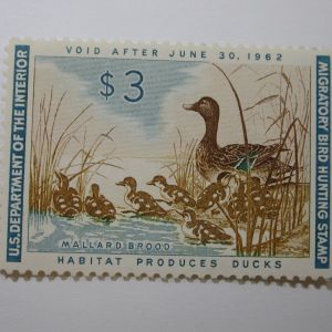 US Department of Interior Scott #RW28 $3 Mallard Hen and Ducklings Stamp 1961, MNH
