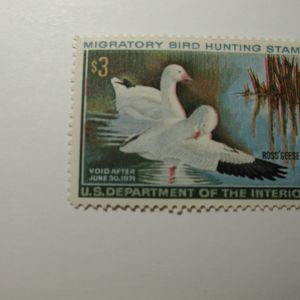 US Department of Interior Scott #RW37* $3 Ross' Geese Stamp 1970, MNH