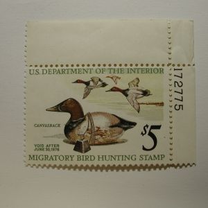 US Department of Interior Scott #RW42 $5 Canvasback 1975, MNH Plate Single #172775