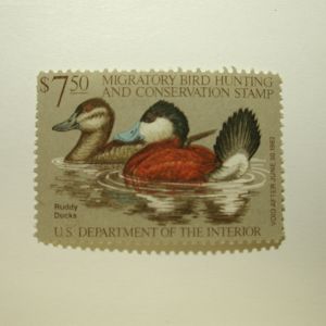 US Department of Interior Scott #RW48 $7.50 Ruddy Ducks 1981, MNH - Migratory Bird Hunting and Conservation Stamp