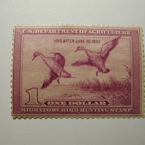 US Department of Interior Scott #RW5 $1 - Migratory Bird Hunting Stamp 1938, MNH Missing Perf.