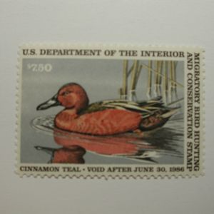 US Department of Interior Scott #RW52 $7.50 Cinnamon Tail Duck Stamp, MNH