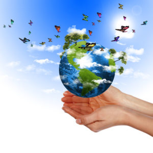 Globe Butterflies in hand 300x300