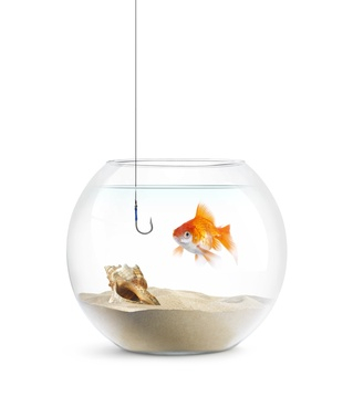 A goldfish swims in a round glass bowl with sand and a seashell, while a fishing hook hangs above the water.