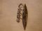 .830 Silver Leaf brooch with three white spinels 2 inches long gold washed